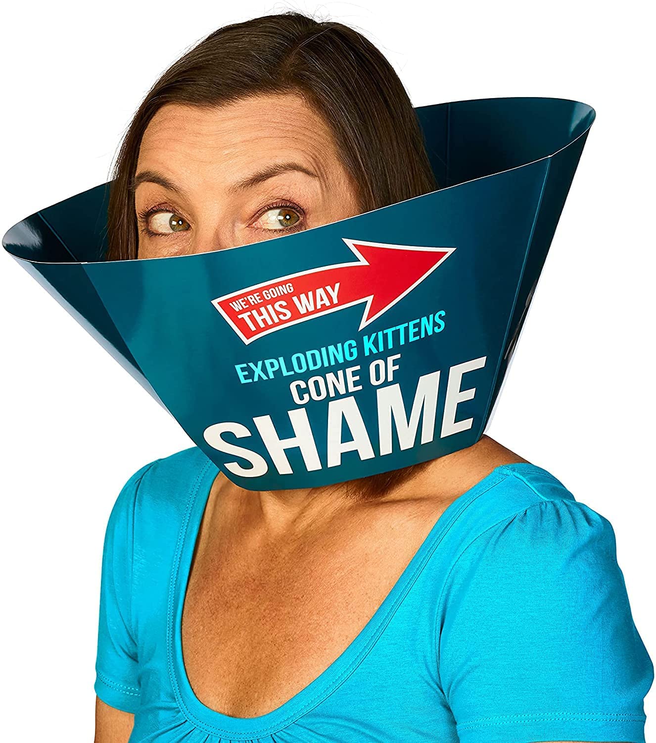 Exploding Kittens : Recipes For Disaster